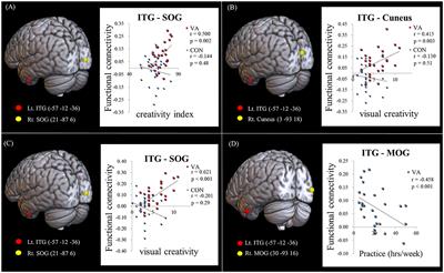 Corrigendum: Enhanced intrinsic functional connectivity in the visual system of visual artist: implications for creativity